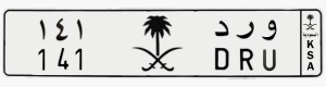 لوحة و ر د - 141