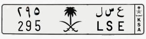 لوحة ع س ل - 295