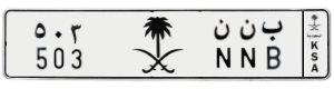 لوحة ب ن ن - 503
