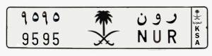 لوحة ر و ن - 9595