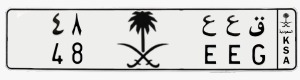 لوحة ق ع ع - 48