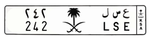 لوحة ع س ل  -242