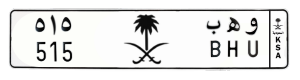 لوحة و هـ ب _ 515