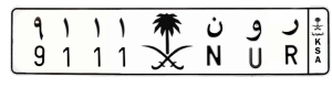 لوحة ر و ن 9111