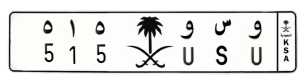 لوحة و س و 515