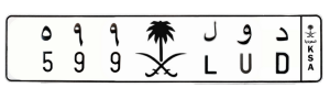 لوحة د و ل 899