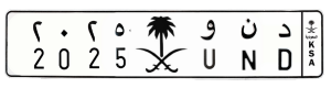 لوحة د ن و 2025