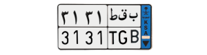 لوحة ب ق ط 3131