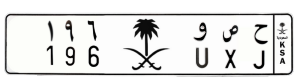لوحة ح ص و 196