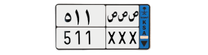 لوحة ص ص ص 511
