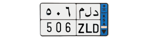 لوحة د ل م 506