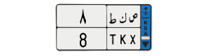 لوحة ص ط ك 8