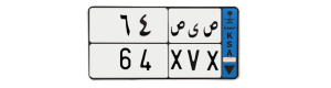 لوحة ص ى ص 64