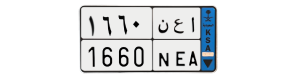 لوحة ا ع ن 1660