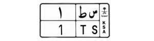 لوحة س ط 1