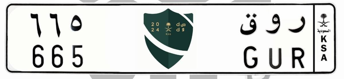 لوحة ر و ق 665